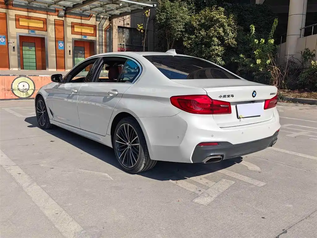 BMW 5 Series 2020 530Li Leading M Sport Package фото 18