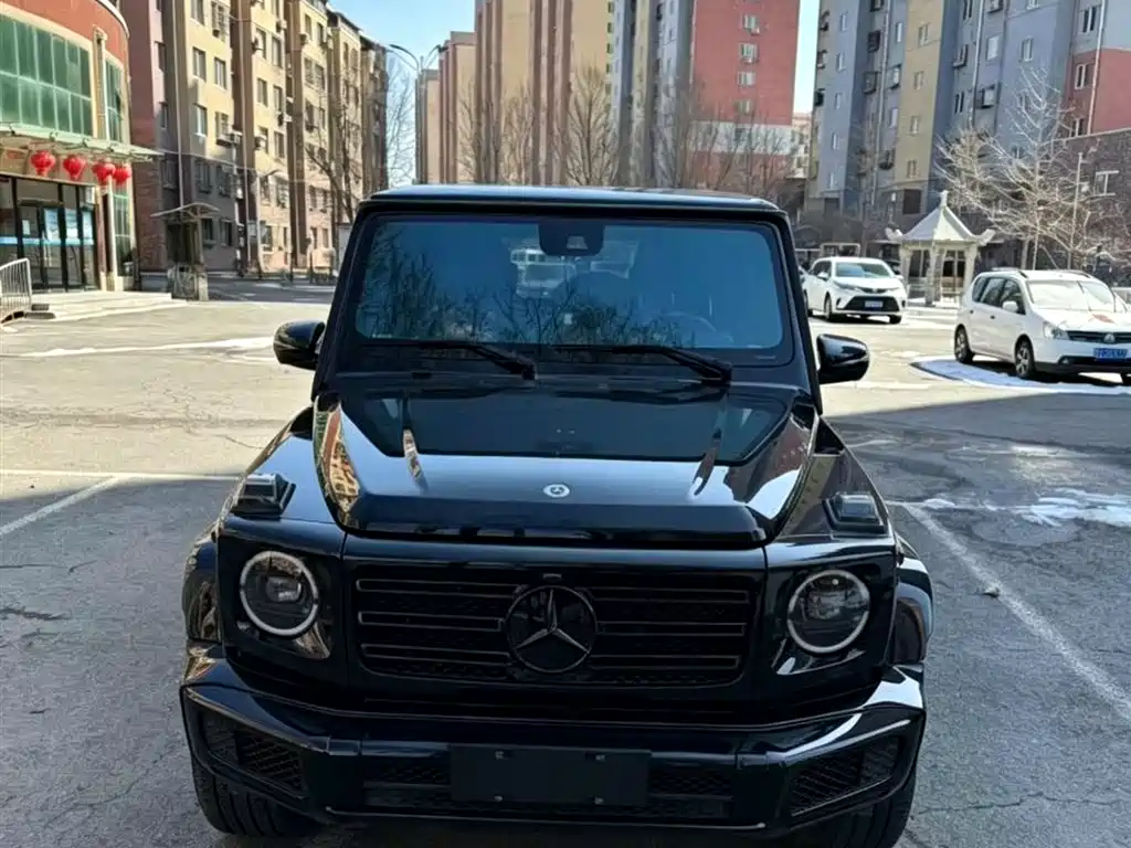 Mercedes-Benz G-Class 2020 G 500 Dark Night Special Edition фото 2