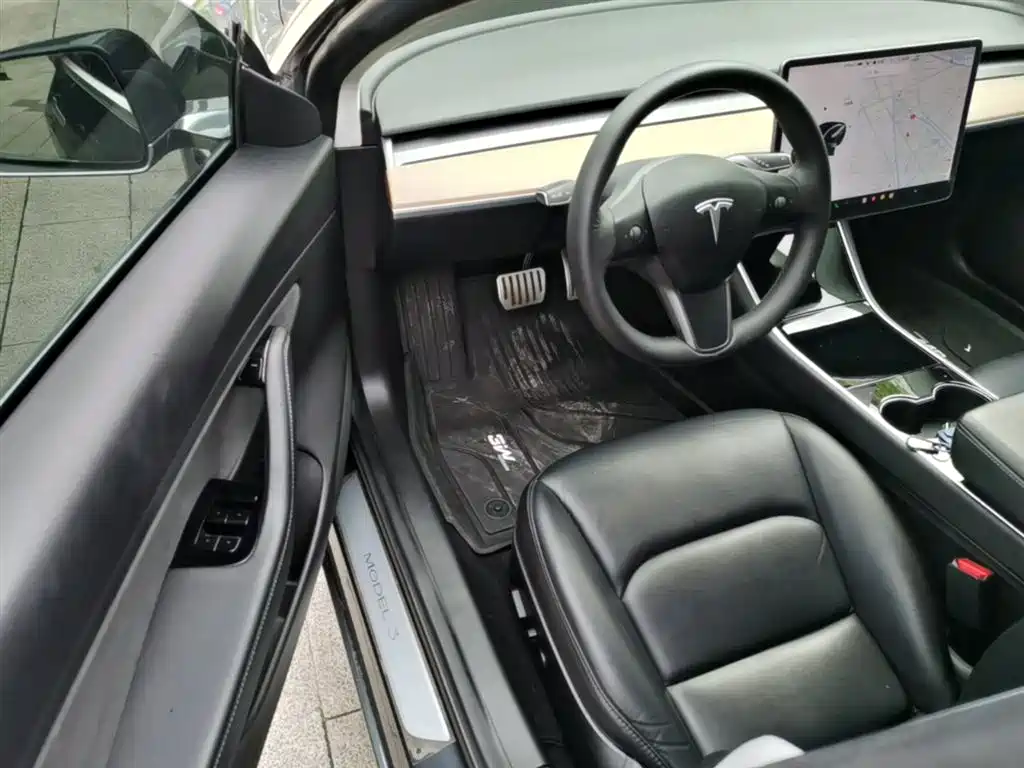 Tesla Model 3 (Import) 2019 2019 Performance High-Efficiency All-Wheel Drive Version