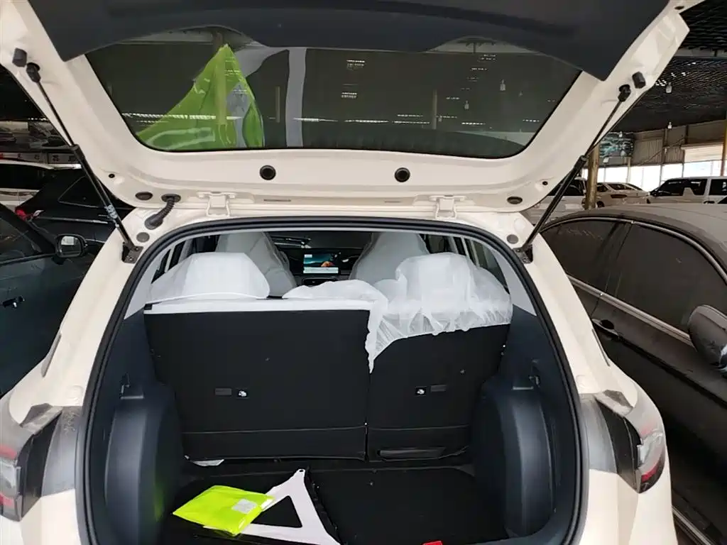 Geely Galaxy Starry Wish 2026 Edition 310km Youth Version фото 19