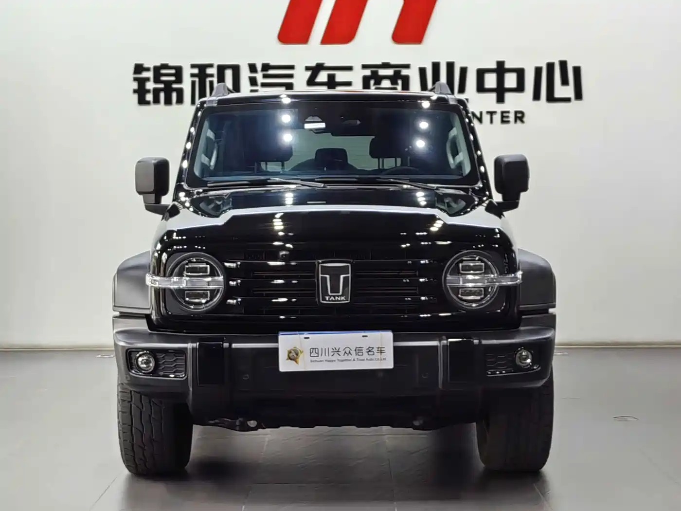 Tank 300 2025 2024 2.0T Conqueror