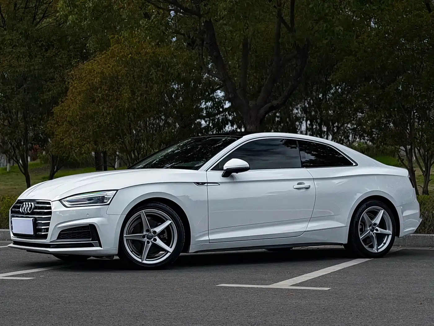 Audi A5 (Import) 2017 Coupe 40 TFSI Style