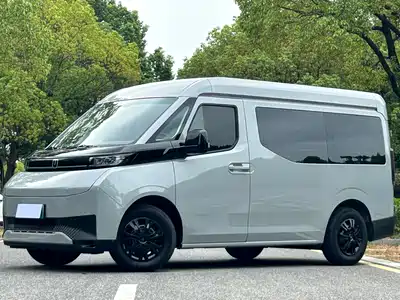 Farizon Super VAN