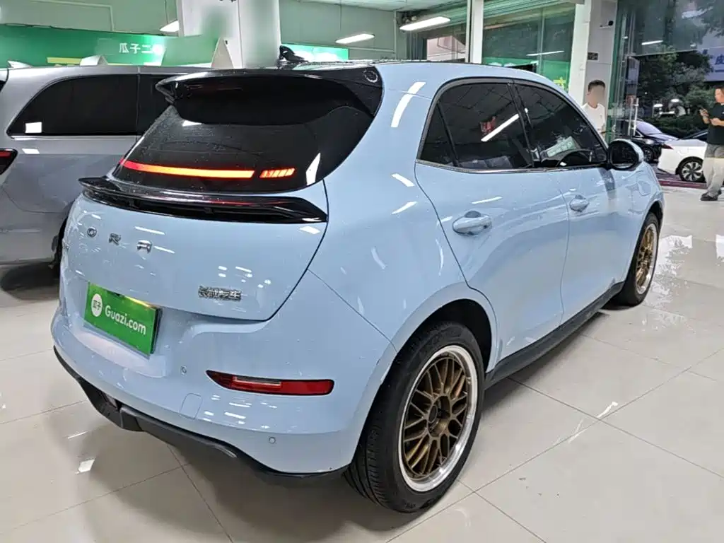 Ora Good Cat 2024 2023 401km Standard Range Luxury LFP