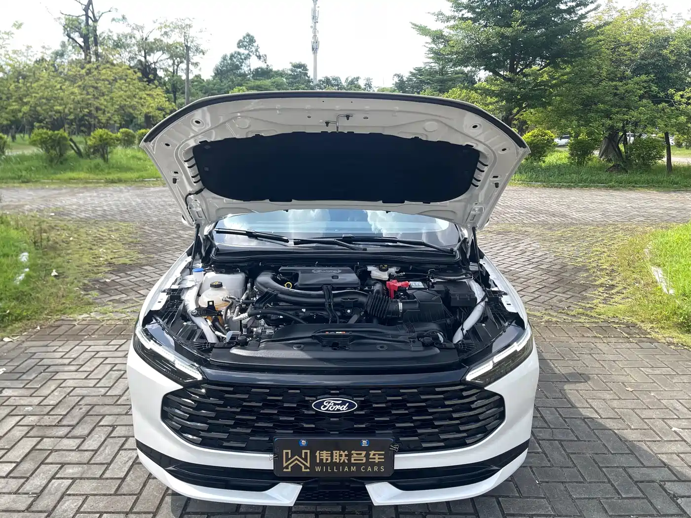 Ford Mondeo 2026 2026 2.0T Fuel Trend