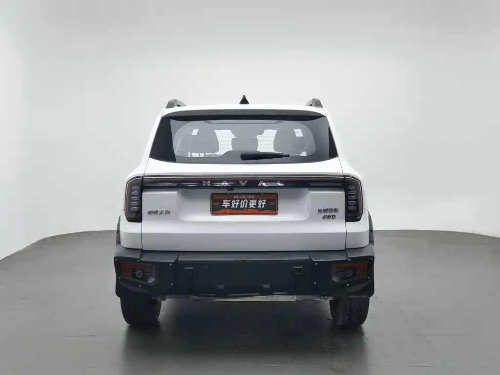 Фото 4 - Haval Dargo