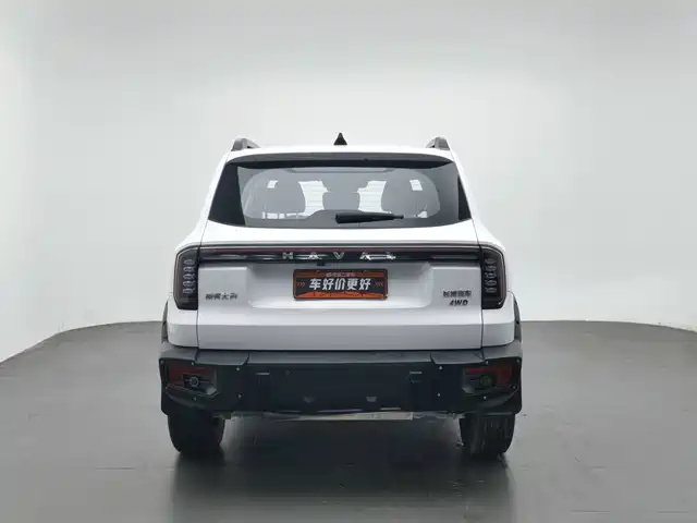 Haval Big Dog 2024 2.0T DCT Chinese Rural Dog Edition — фото 4