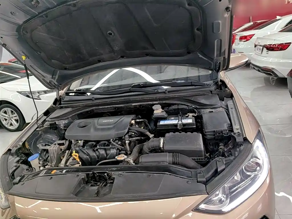 Hyundai Elantra 2016 1.6L Auto Smart·Luxury Edition фото 20
