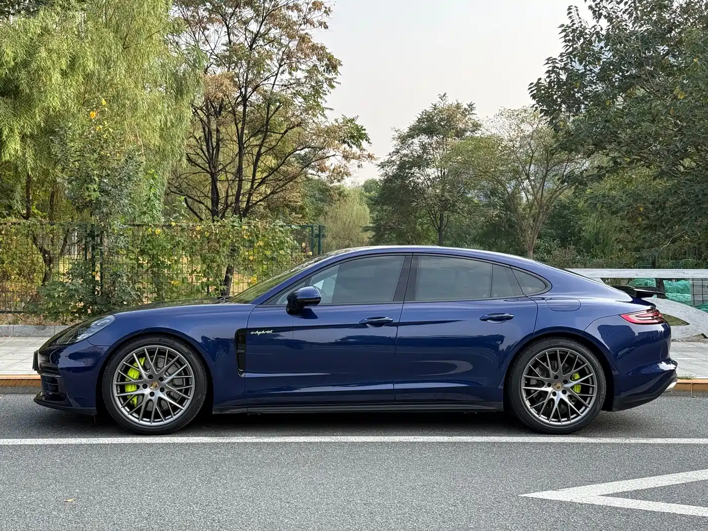 Porsche Panamera New Energy 2020 2018 Panamera 4 E-Hybrid 2.9T