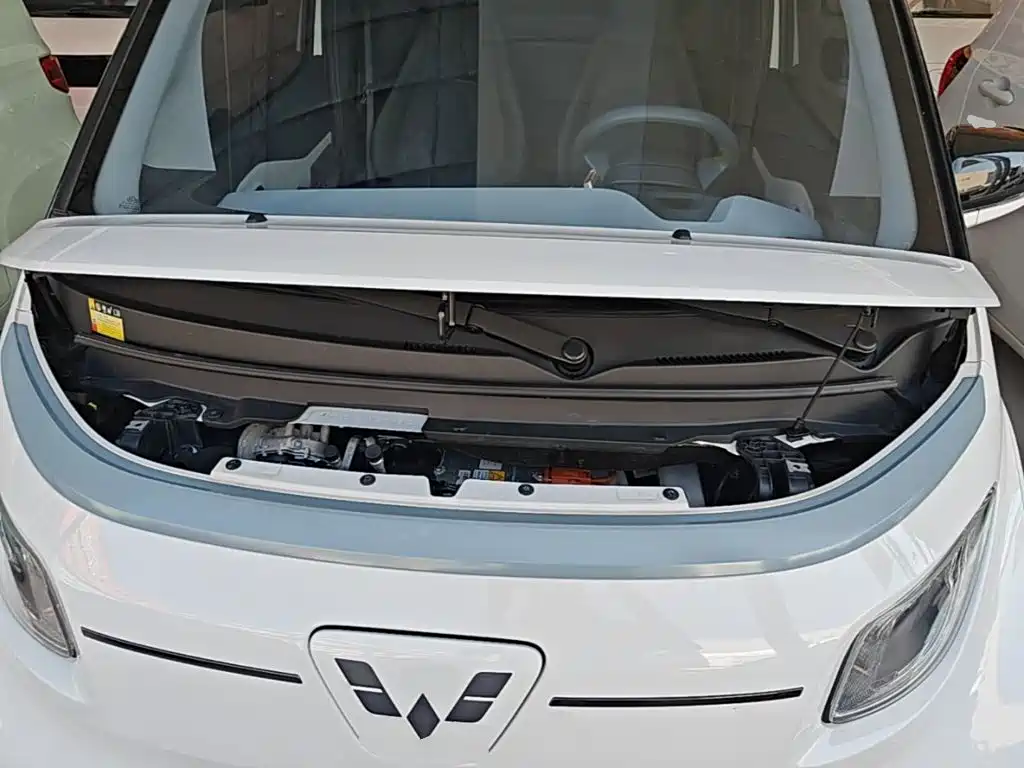 Wuling Motors Wuling NanoEV 2022 2021 Fun Edition