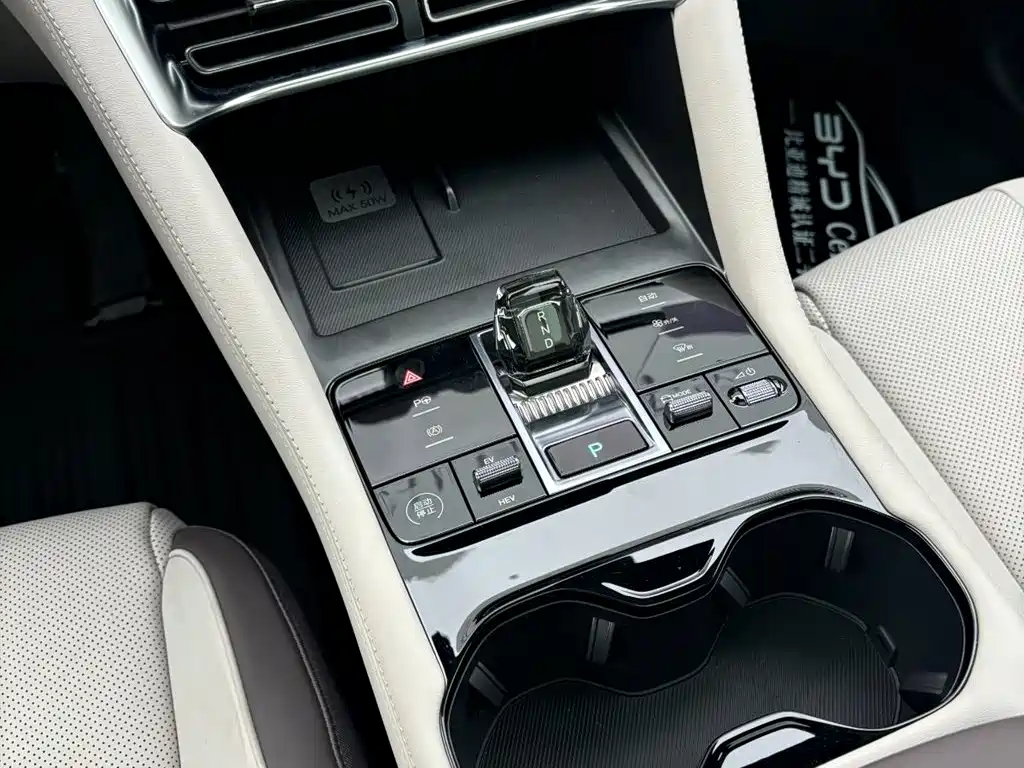 BYD SONGJIANG NEW ENERGY