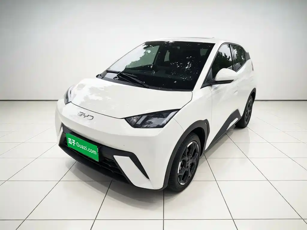 BYD Seagull 2025