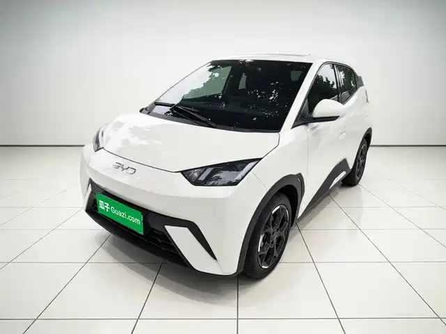 BYD Seagull 2025