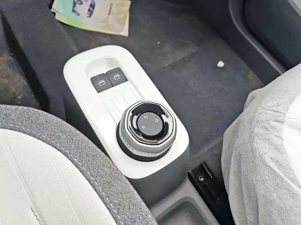 Geely Galaxy Panda 2026 2025 Panda mini 210km Vitality Bear