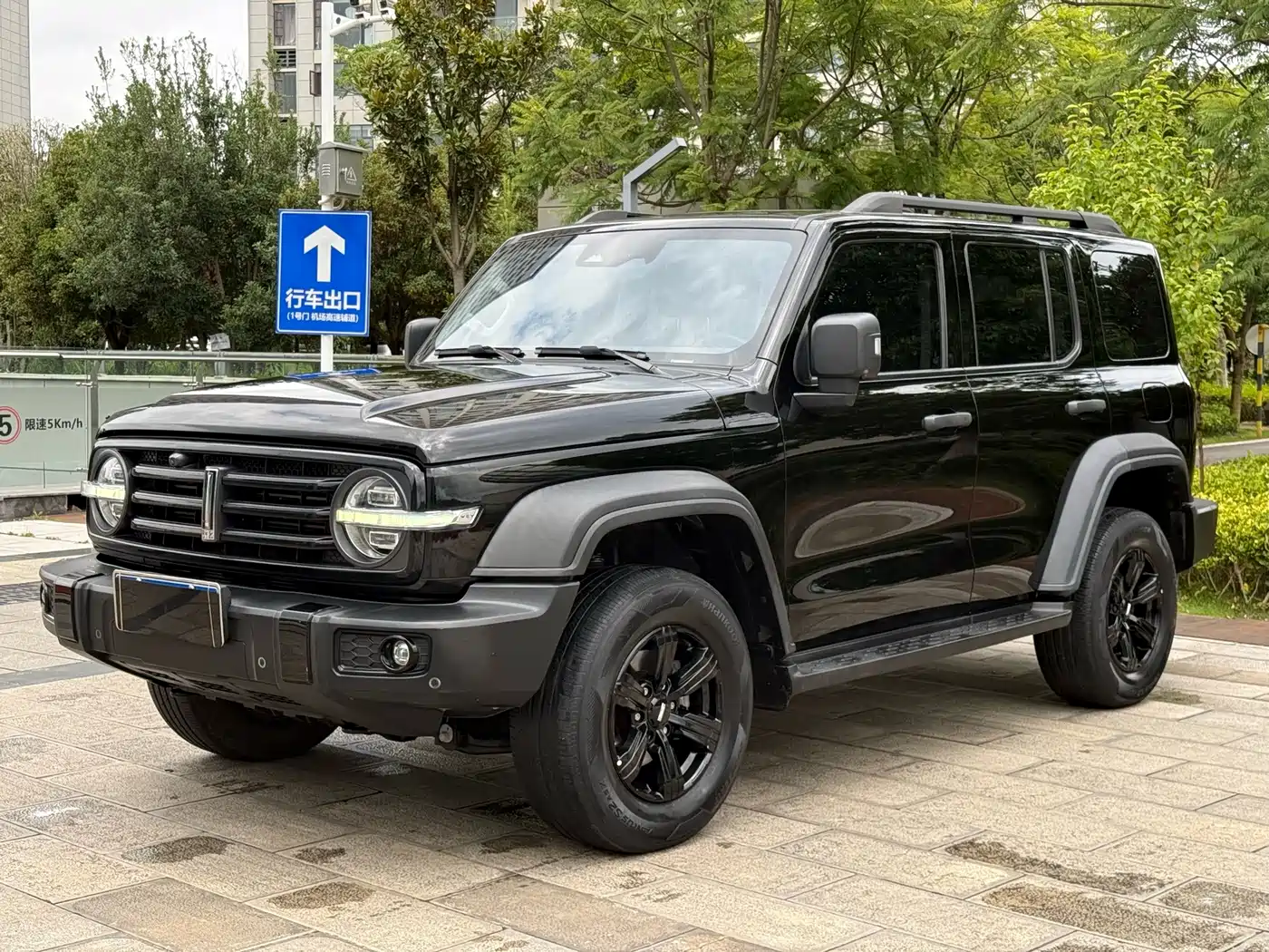 Tank 300 2021 2021 Off-road Version 2.0T Conqueror
