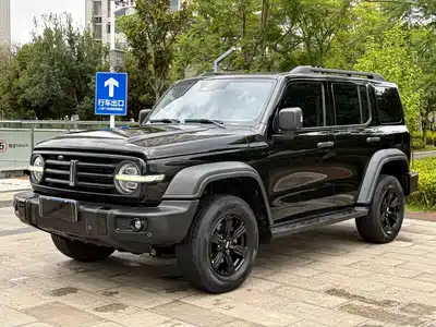 Tank 300