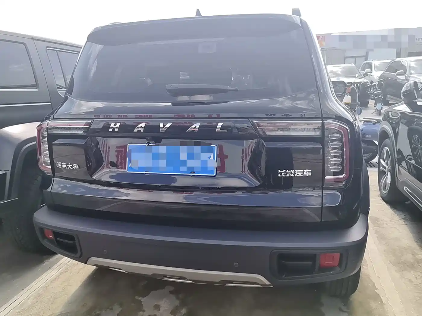 Photo 10 - Haval Big Dog