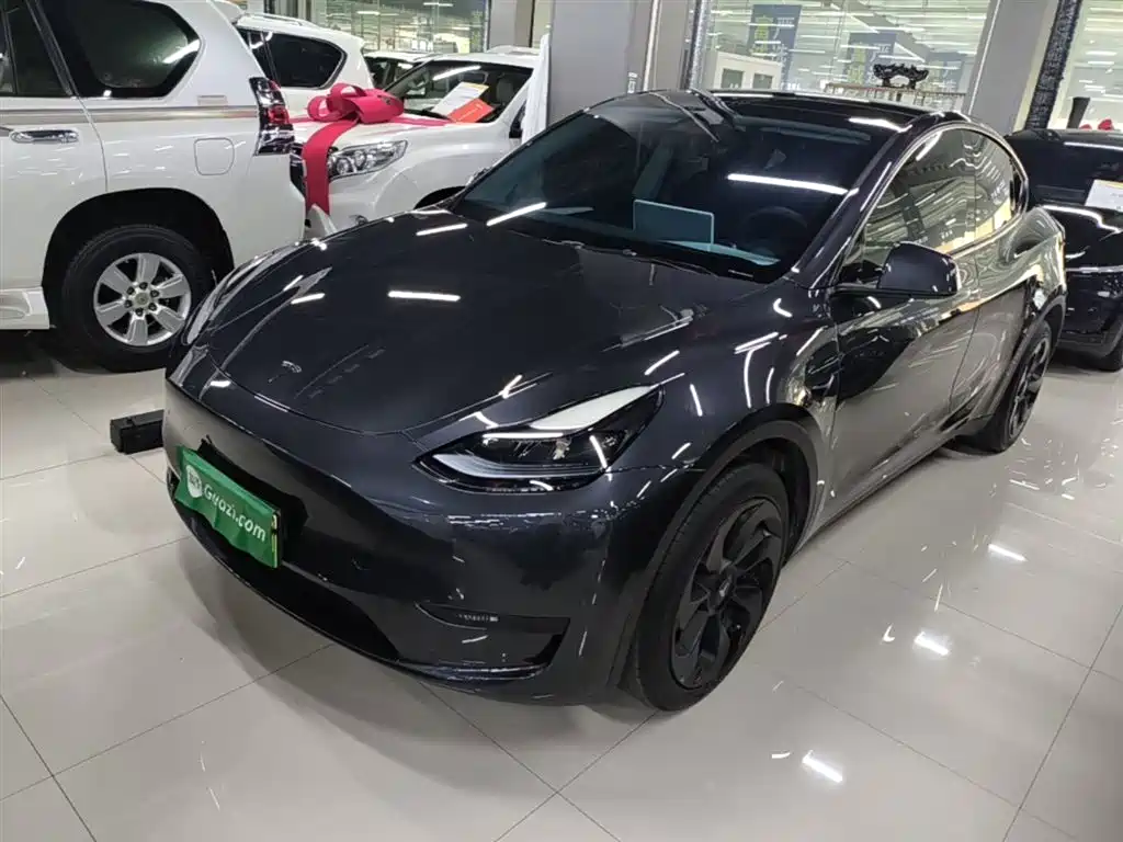 Tesla Model Y 2024 Rear-Wheel Drive Version