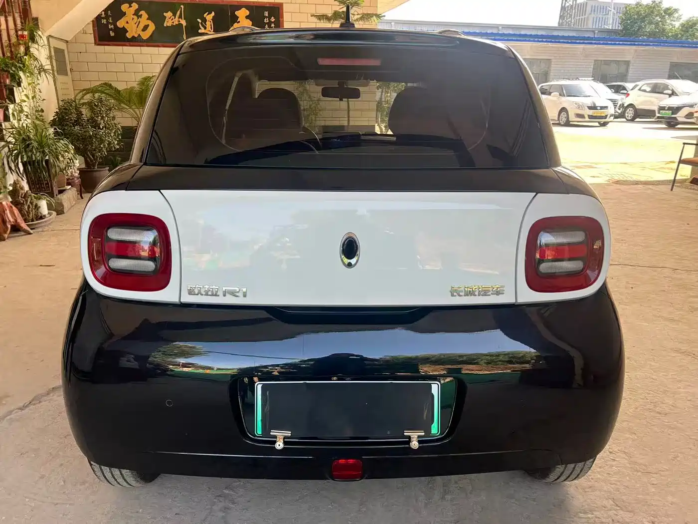 Ora Black Cat 2020 2021 301km Basic Model