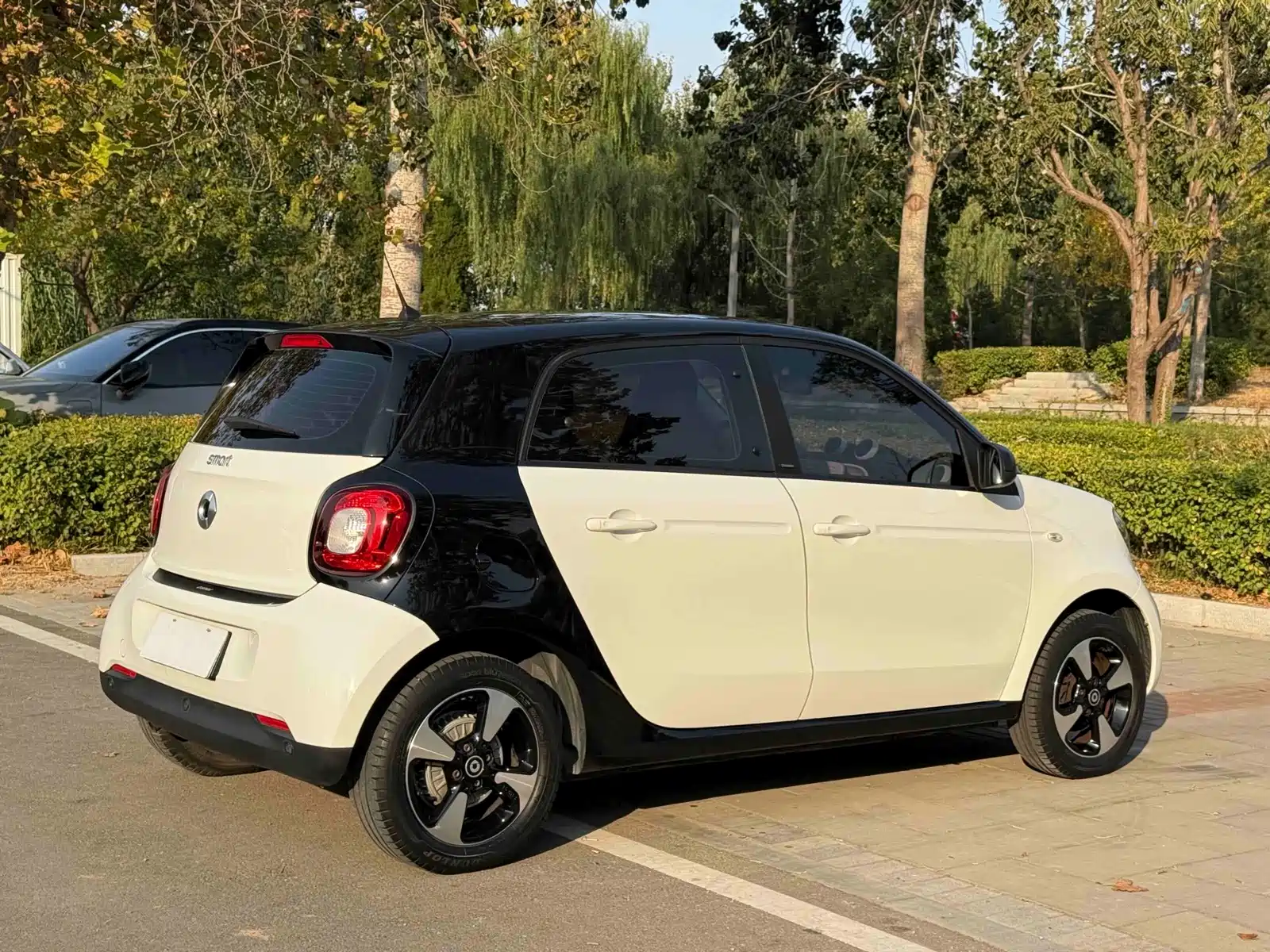 Фото 17 - smart forfour