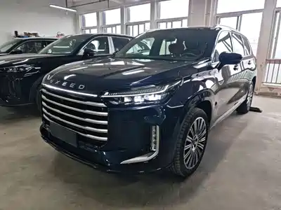 Exeed VX C-DM