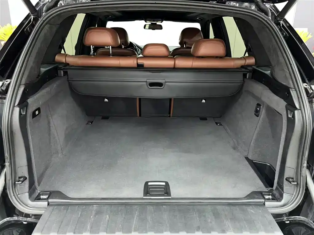 BMW X5 (Import) 2018 xDrive35i Elegant Model фото 12