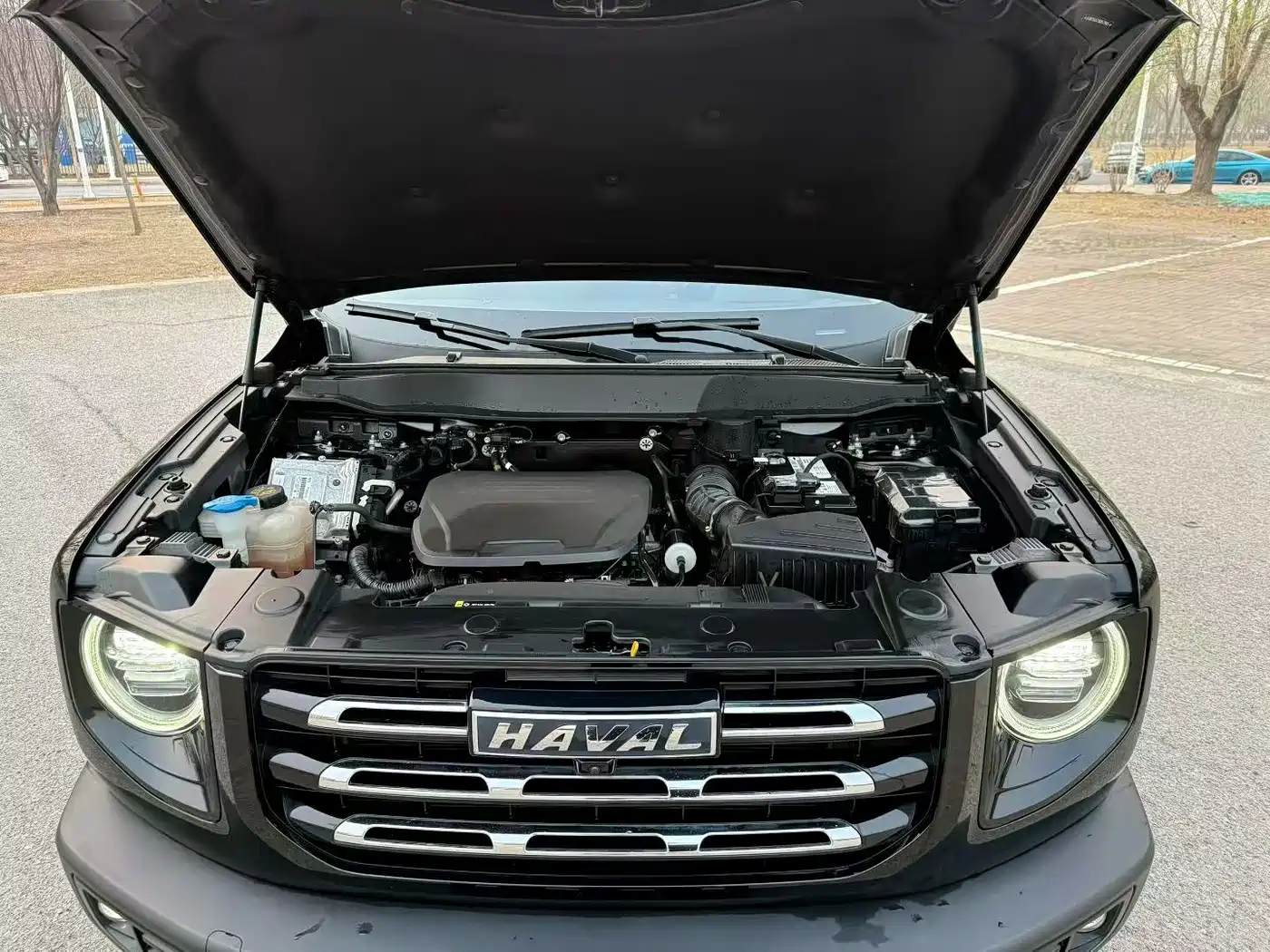 Haval Big Dog 2022 1.5T DCT FWD Labrador Edition фото 7