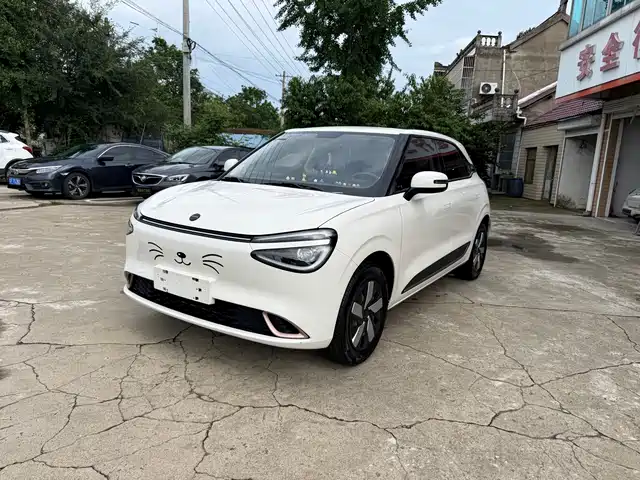 Dongfeng Yipai Nano 01 2024 330 Air