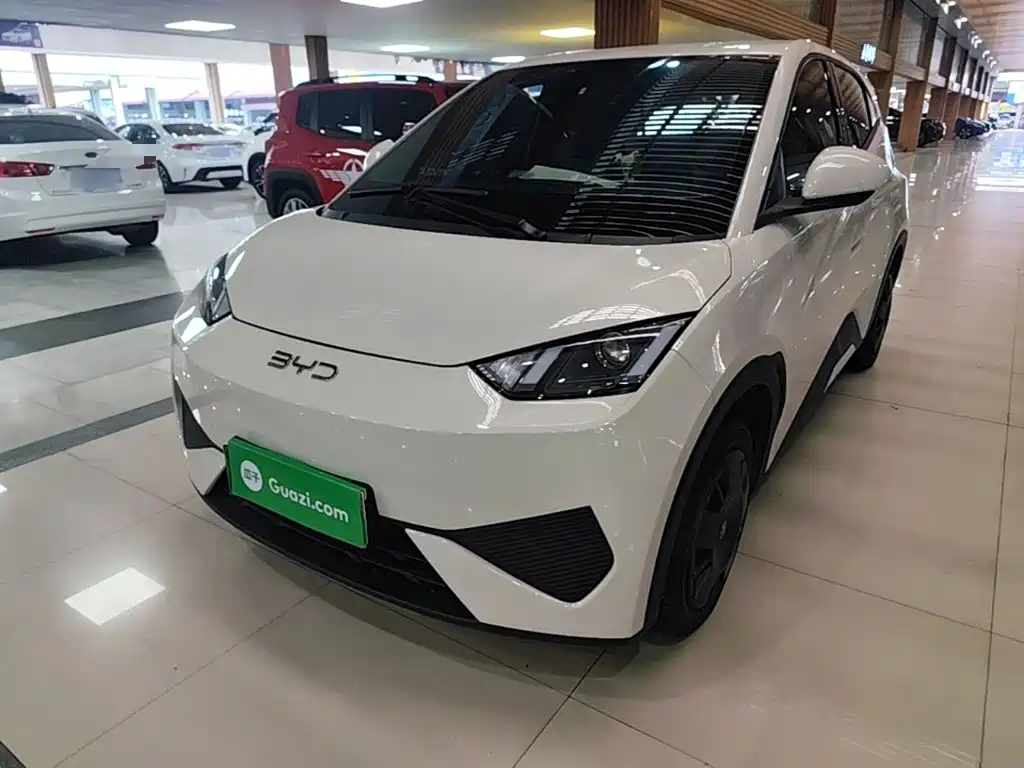 BYD Seagull 2025