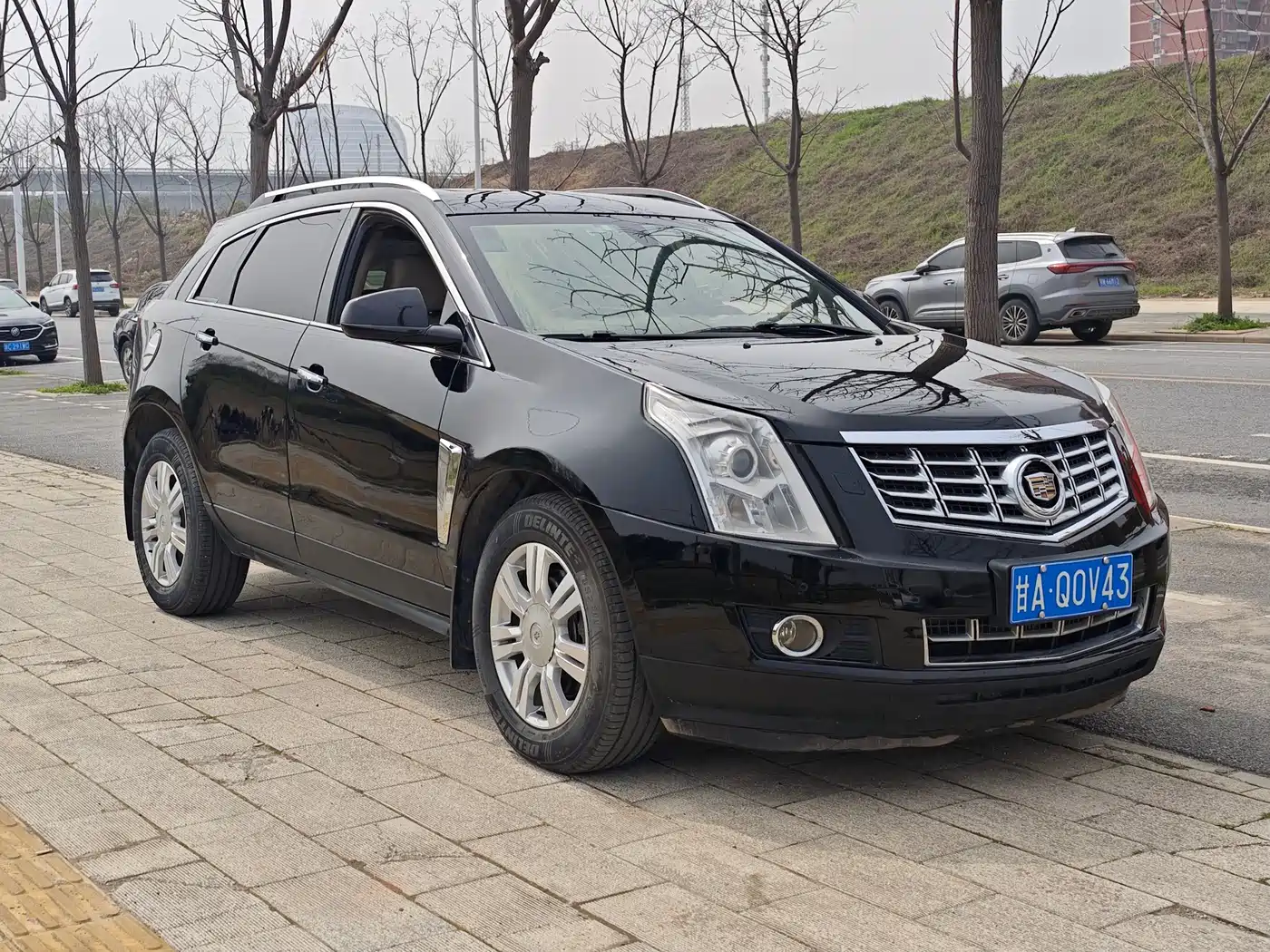 Cadillac SRX 2013 3.0L Luxury фото 3