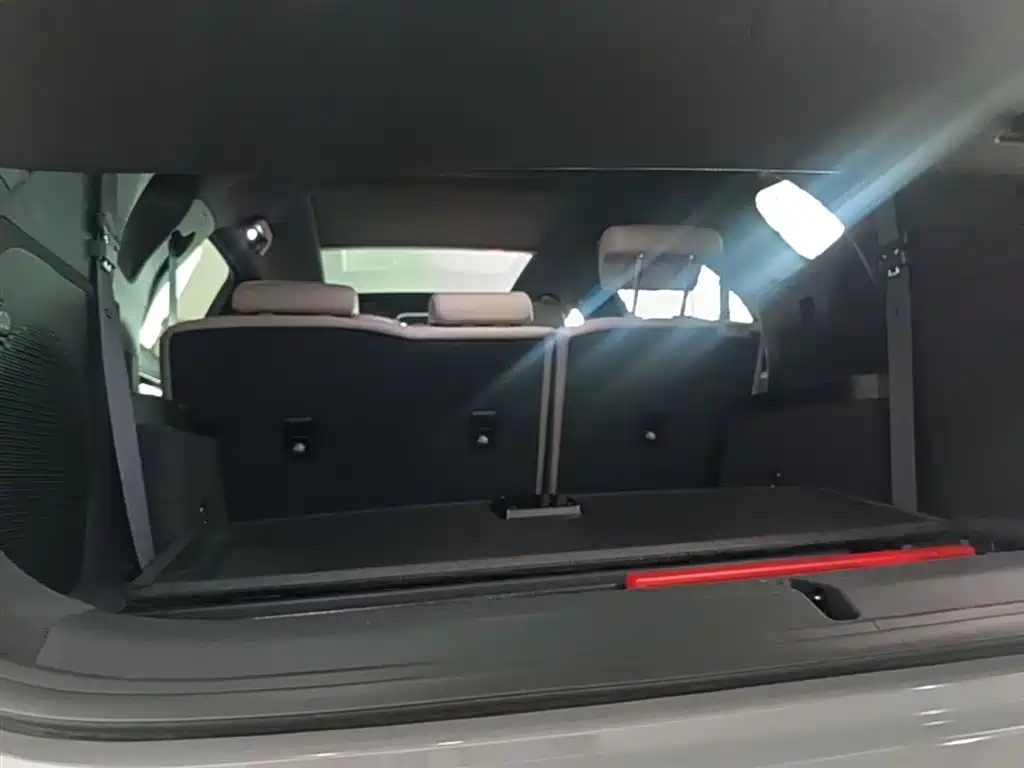 BYD Tang New Energy 2025 Smart Driving Edition DM-i 115KM Flagship фото 19