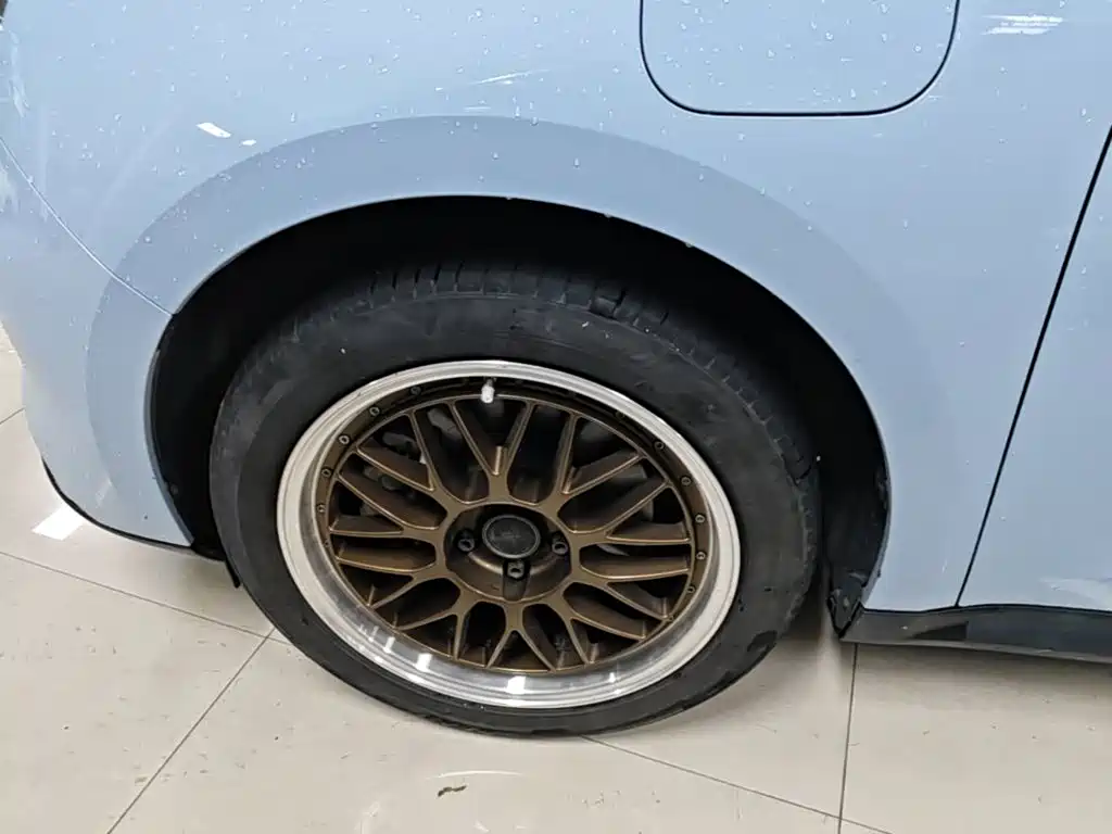 Ora Good Cat 2024 2023 401km Standard Range Luxury LFP