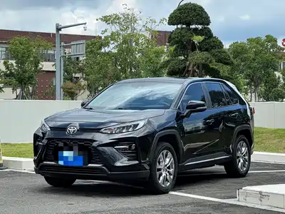 Toyota Wildlander