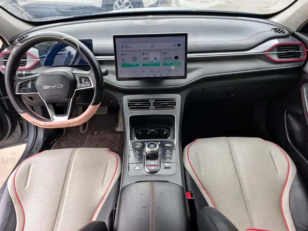 BYD Destroyer 05 2023 Champion Edition DM-i 55KM Luxury фото 12