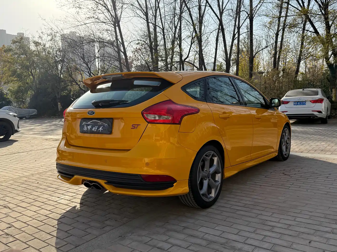 Ford Focus (Import) 2016 2015 2.0T ST Orange Edition