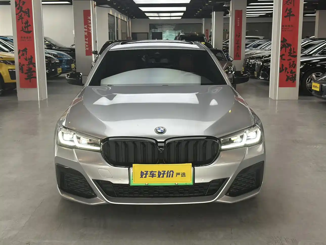 BMW 5 SERIES NEW ENERGY