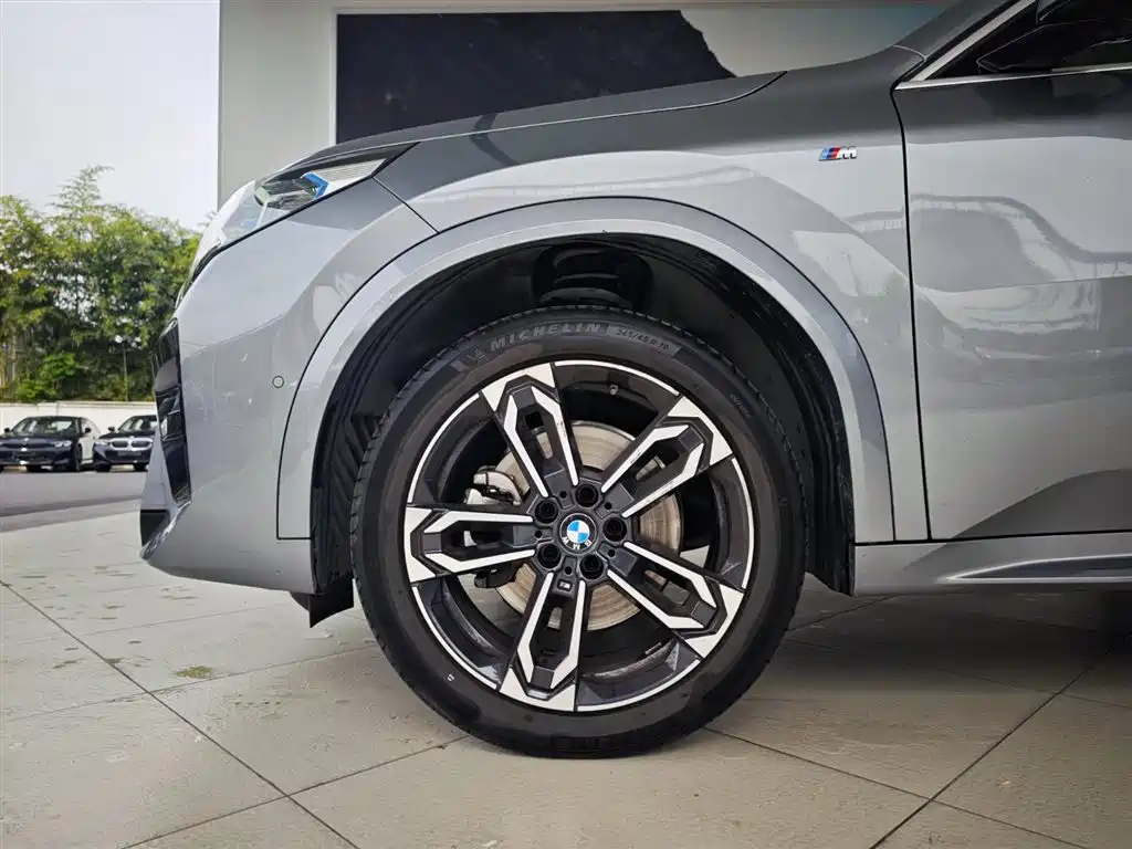 BMW X2 (Import) 2024 sDrive25i M Sport Package фото 15