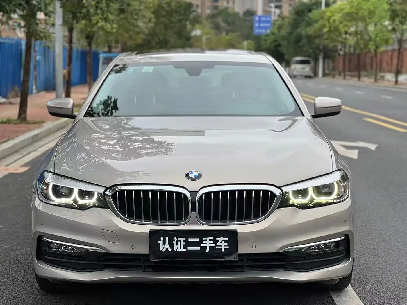 BMW 5 Series 2018 528Li Launch Special Edition фото 2