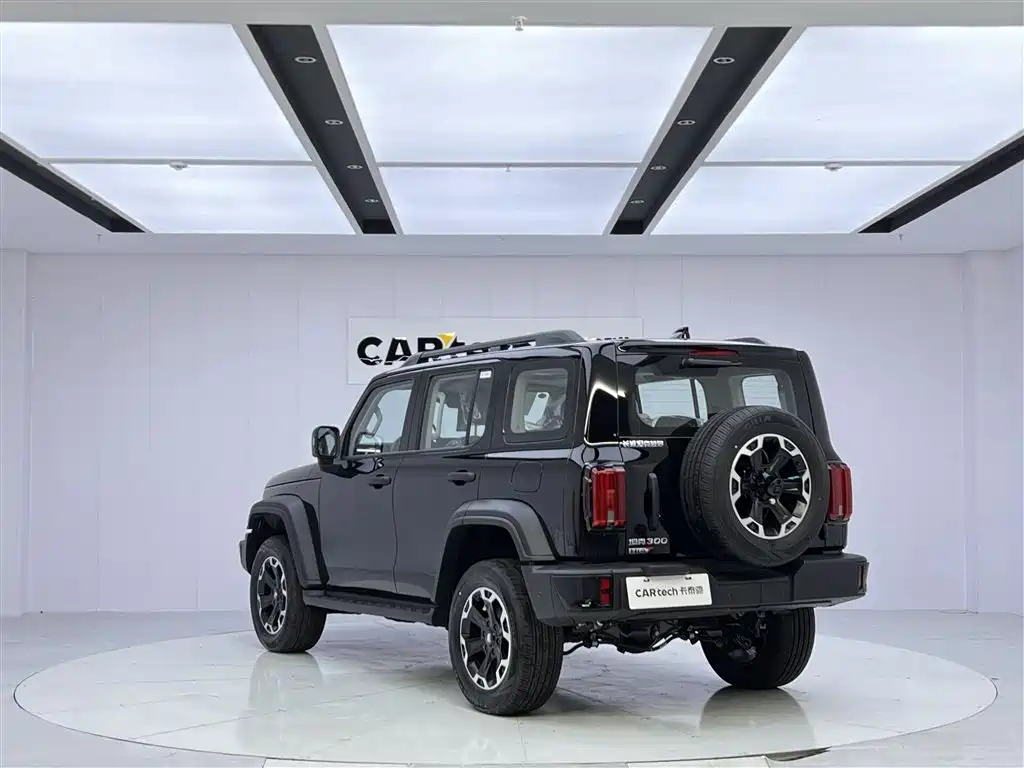 TANK TANK 300 NEW ENERGY