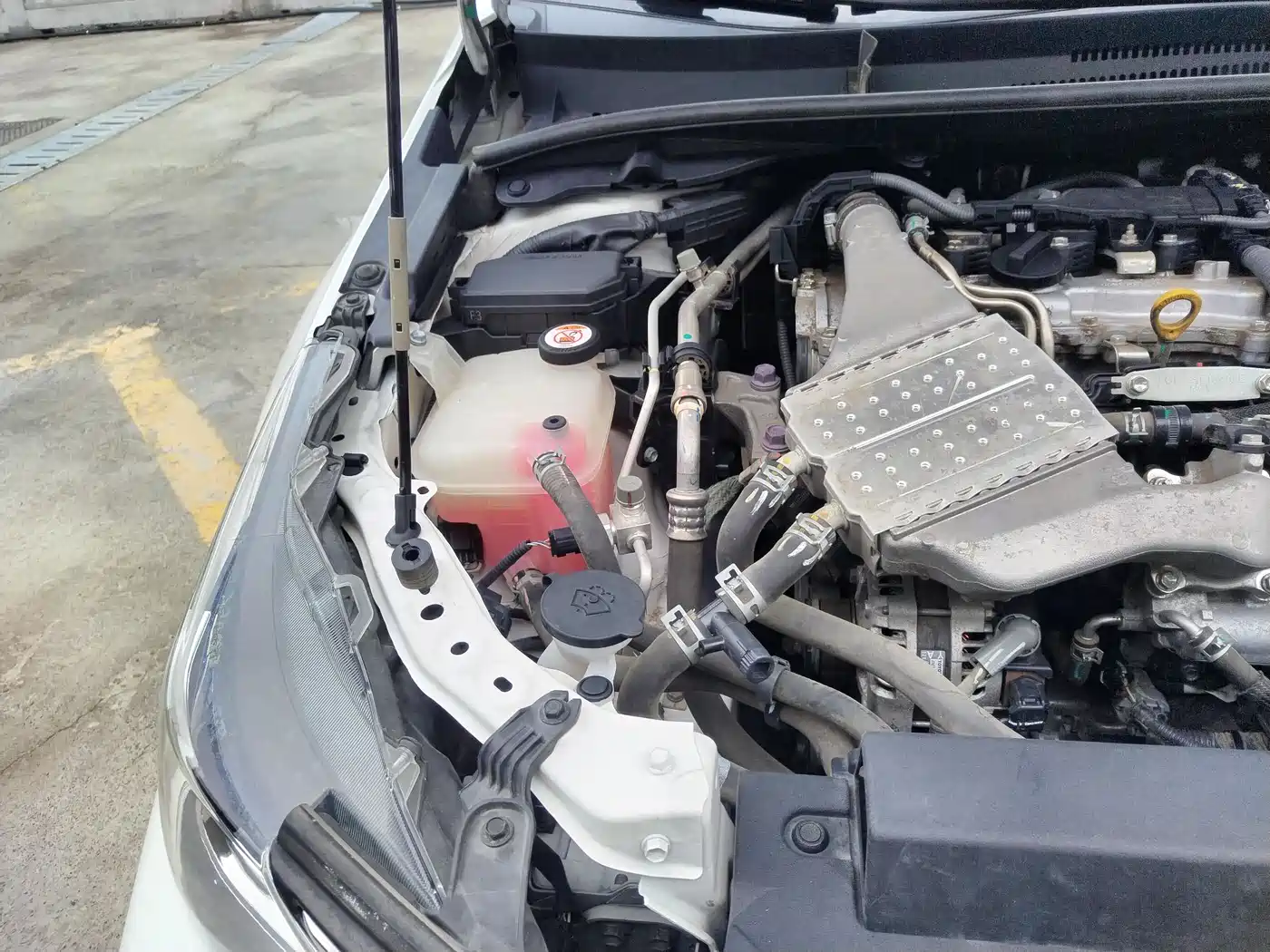 Toyota Corolla 2023 1.2T Pioneer Edition фото 15