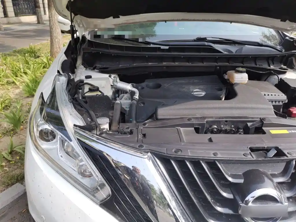 Nissan Murano 2020 2019 2.5L XL 2WD Smart Connect Luxury Edition (China VI)