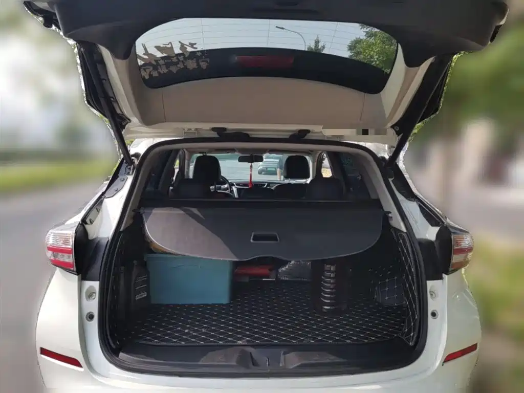Nissan Murano 2020 2019 2.5L XL 2WD Smart Connect Luxury Edition (China VI)