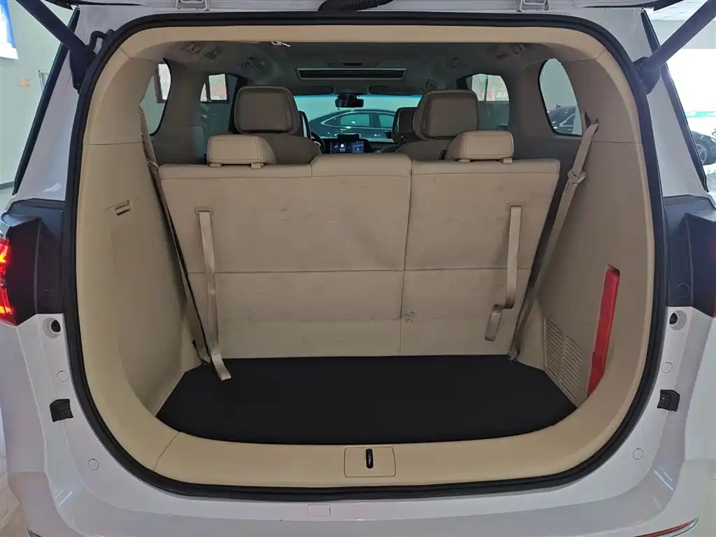 Buick GL8 2023 ES Landmaster Exclusive фото 15