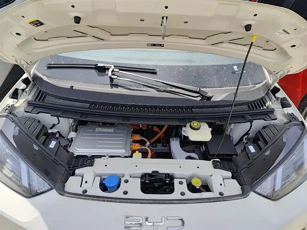 BYD Seagull 2025 Smart Drive Edition 305km Vitality Version фото 20