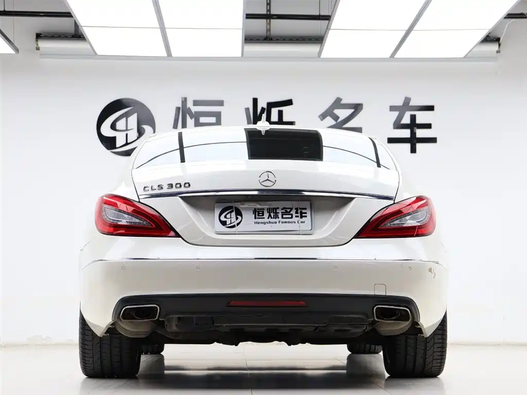 Mercedes-Benz CLS 2012 CLS 300 CGI фото 21