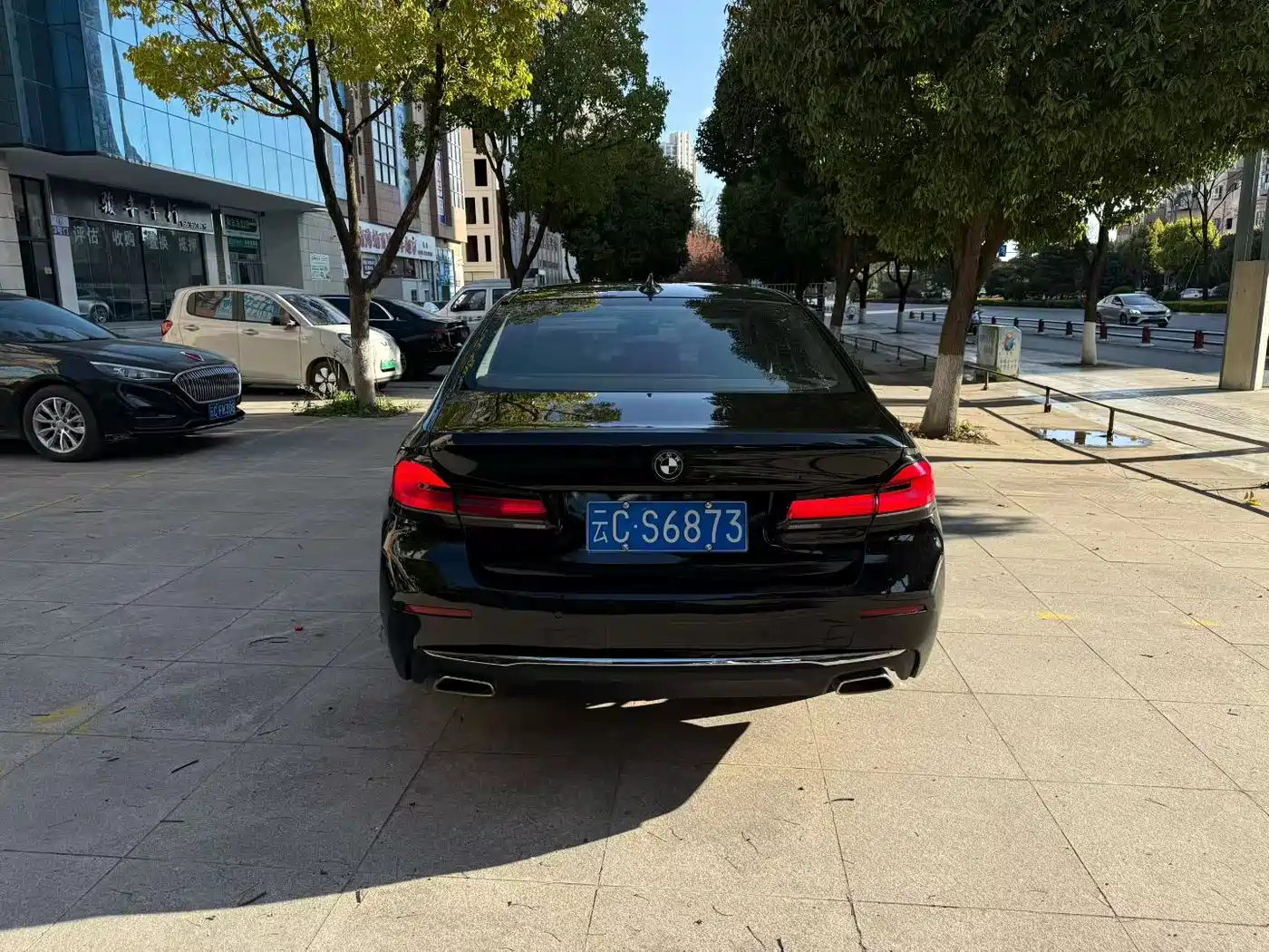 BMW 5 Series 2021 525Li Luxury Package фото 8