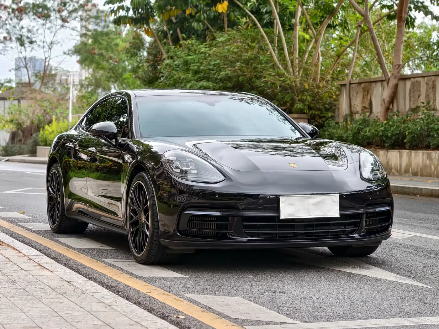 Porsche Panamera 2019 Panamera 2.9T фото 3