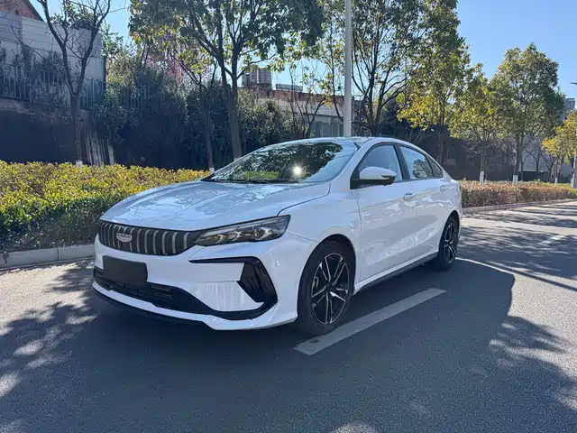 GEELY AUTOMOBILE BINRUI 2024