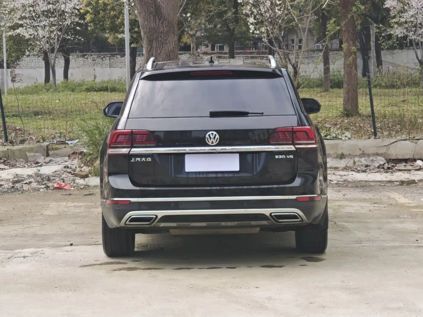 Volkswagen Teramont 2017 530 V6 4WD Luxury Edition фото 6