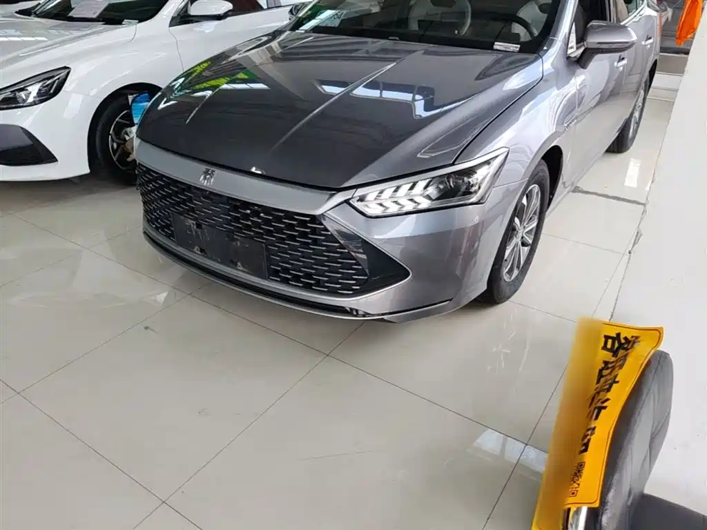 BYD Qin PLUS 2024 Glory Edition DM-i 55KM Leading фото 24
